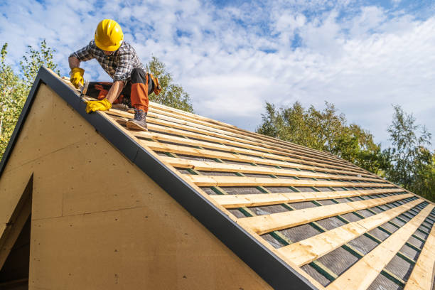 Best Roof Gutter Cleaning  in Century, FL