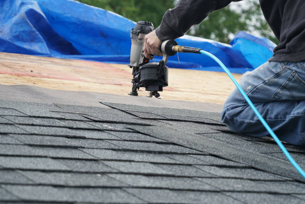 Quick and Trustworthy Emergency Roof Repair Services in Century, FL